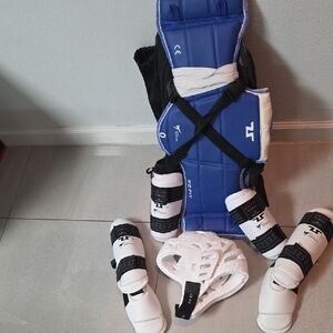 Kids Taekwondo Protective Gear Set